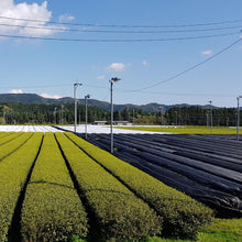 Laden Sie das Bild in den Galerie-Viewer, Premium Bio Fukamushi - Natureone Tea World